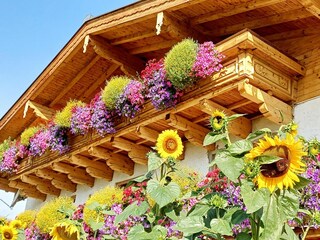 Appartement Saalfelden Buitenaudio-opname 6