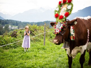 Ferienhaus Saalfelden Umgebung 29