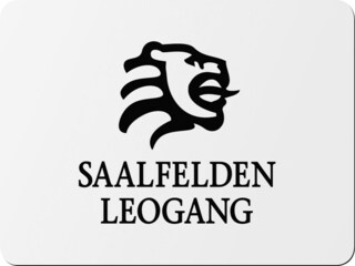 Maison de vacances Saalfelden  40