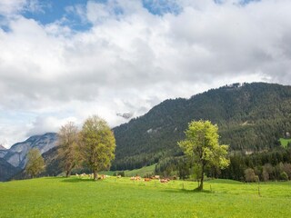 Maison de vacances Saalfelden Environnement 35