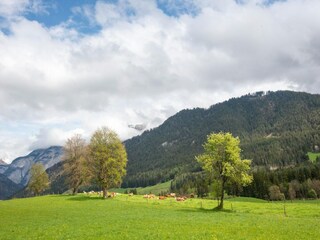 Maison de vacances Saalfelden Environnement 37