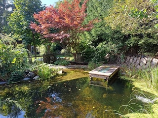 Casa de campo Saalfelden Grabación al aire libre 8