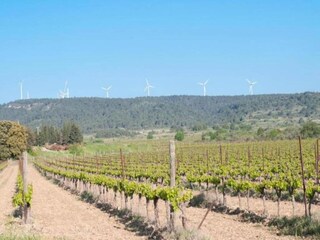 Villa Montouliers Environnement 35