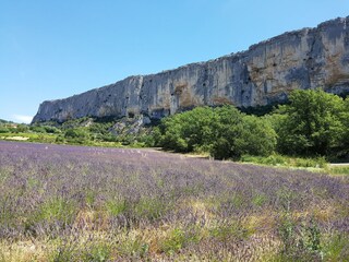 Villa Roussillon (Vaucluse) Entorno 34