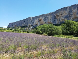 Villa Roussillon (Vaucluse) Environnement 36