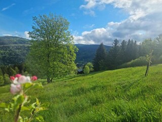 Vakantiehuis Vecoux Omgeving 36