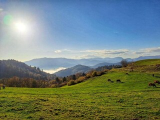 Casa per le vacanze Vecoux Ambiente 36