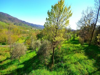 Villa Borghetto di Vara Outdoor Recording 13