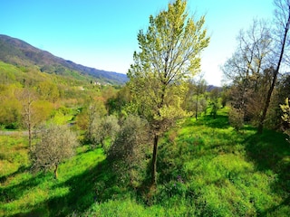 Maison de vacances Borghetto di Vara Enregistrement extérieur 9