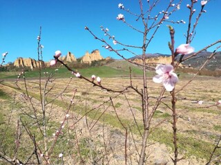 Fattoria Siena Ambiente 32