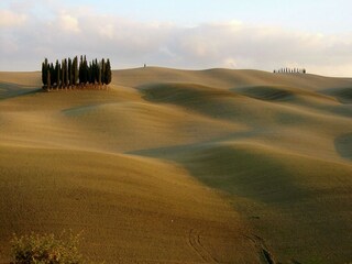 Farmhouse Siena Environment 36