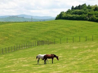 Type de propriété : Ferme Siena Environnement 38