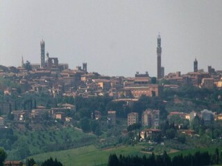 Bauernhof Siena Umgebung 39