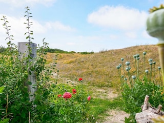 Holiday house Callantsoog Outdoor Recording 17