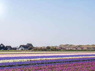Casa per le vacanze Julianadorp Ambiente 30