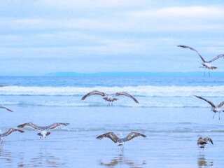 Casa per le vacanze Julianadorp Ambiente 33