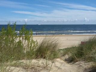 Appartamento per vacanze Seebad Bansin Ambiente 24