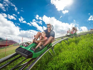 Appartamento Piesendorf Ambiente 25