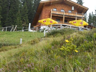 Appartamento Piesendorf Ambiente 24