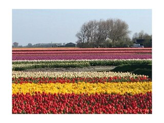 Bungalow Sint Maartensvlotbrug Omgeving 17