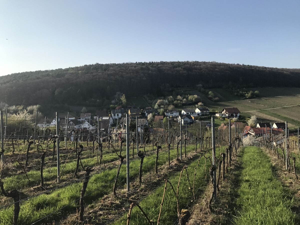 Blick vom gegenüberliegenden Hügel