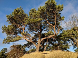 Ferienhaus Åhus  22