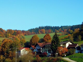 Gasthof und Umgebung