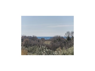 Ferienhaus Novigrad (Istrien)  29