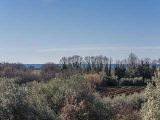 Casa per le vacanze Novigrad (Istrien) Ambiente 31