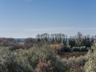 Vakantiehuis Novigrad (Istrien) Omgeving 32