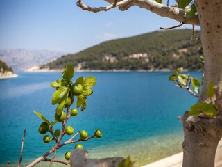 Vakantiehuis Pučišća  24