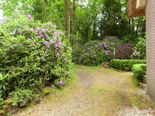 Vakantiehuis Laren (Nordholland) Buitenaudio-opname 5