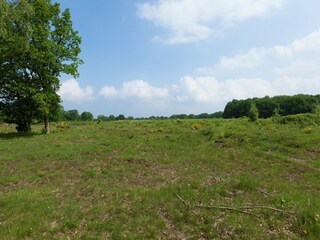 Vakantiehuis Laren (Nordholland) Omgeving 30