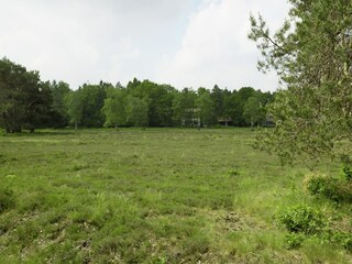 Vakantiehuis Laren (Nordholland) Omgeving 36