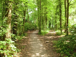 Vakantiehuis Laren (Nordholland) Buitenaudio-opname 10