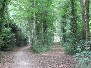 Ferienhaus Laren (Nordholland) Umgebung 35
