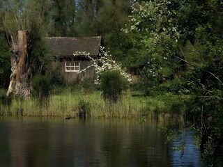 Vakantiehuis Laren (Nordholland) Omgeving 35