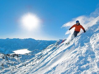 Casa per le vacanze Ebensee Ambiente 17