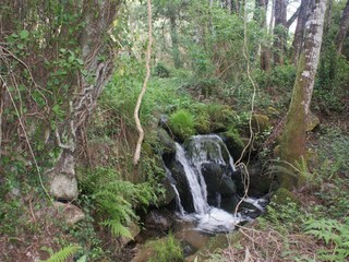 Parco vacanze Travanca de Lagos Registrazione all'aperto 3