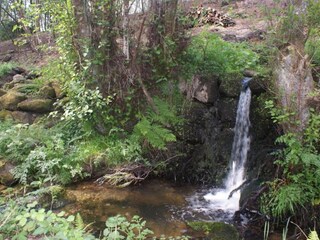Parc de vacances Travanca de Lagos Environnement 34