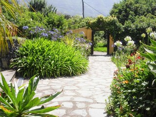 Parc de vacances La Orotava  9