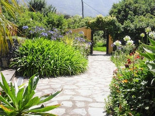 Ferienpark La Orotava  6