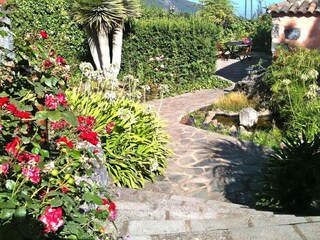 Ferienpark La Orotava  19