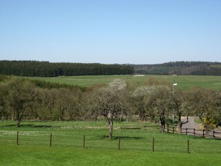 Blick vom Balkon
