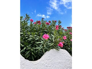 Casa per le vacanze Els Poblets Registrazione all'aperto 7