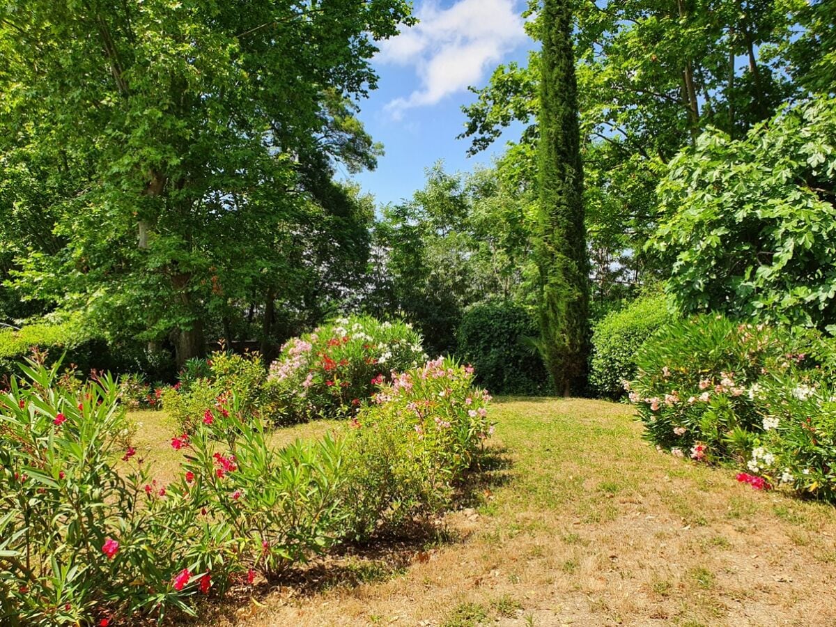 Gelände und Park