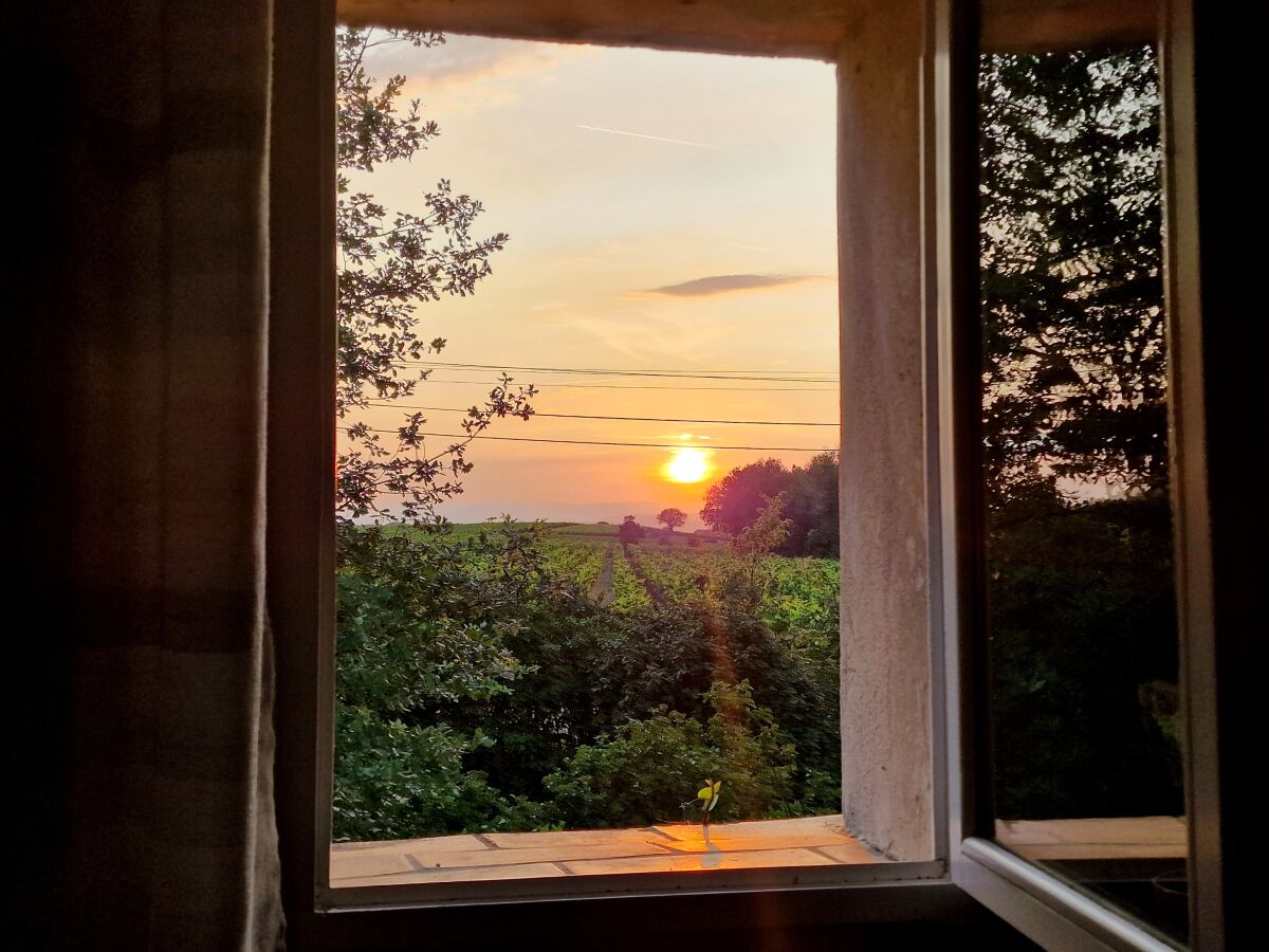 Abendlicht Ausblick vom Küchenfenster