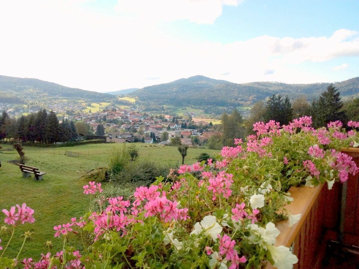 Blick vom Balkon