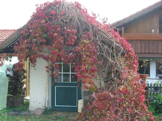 Gartenhäuschen