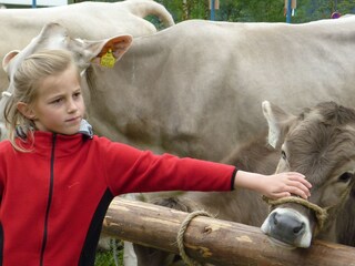 Appartamento per vacanze Telfes im Stubai Ambiente 20